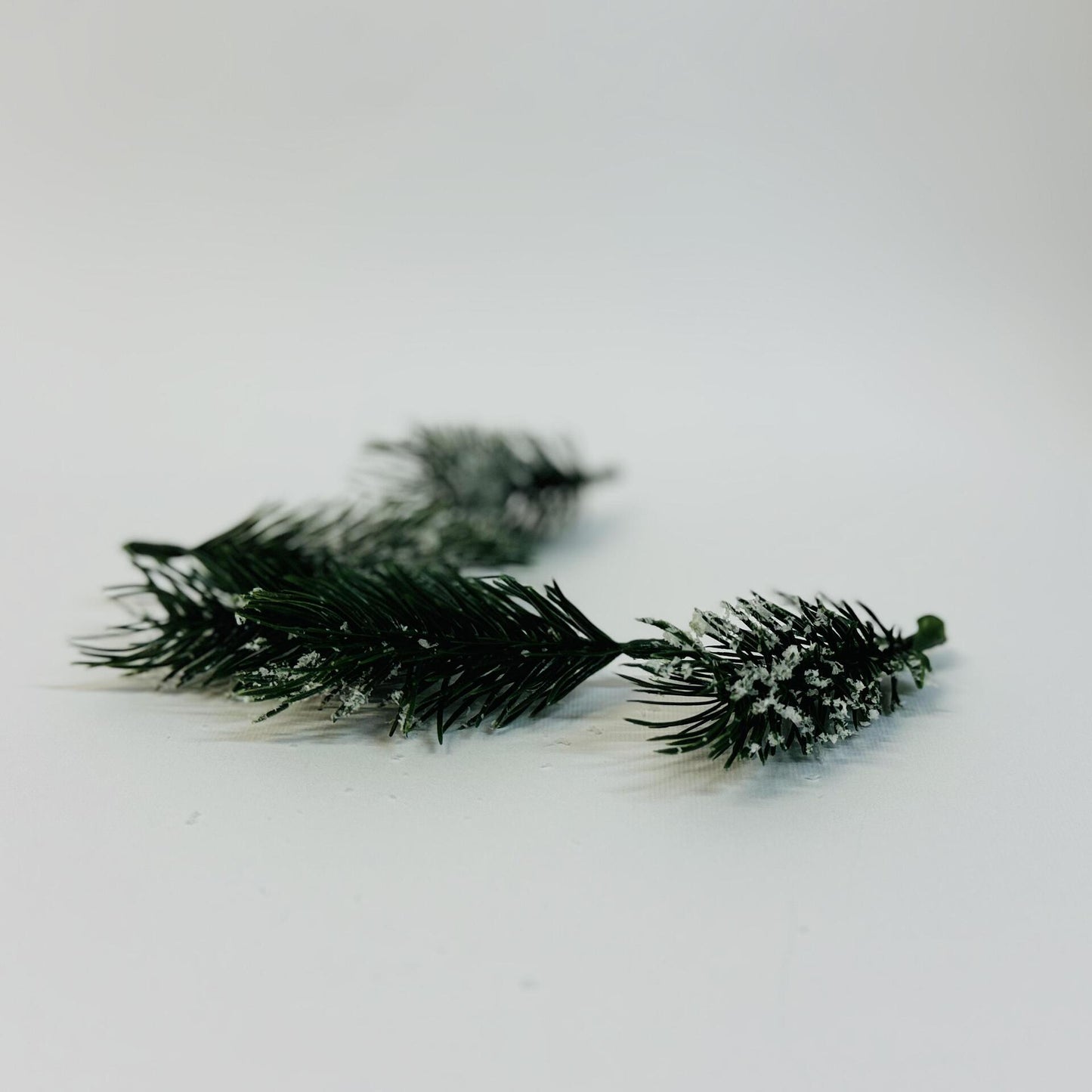 Елхови клонки 8см