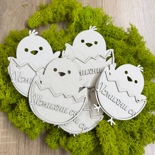 Пиленца от бирен картон с магнит, комплект 5 броя