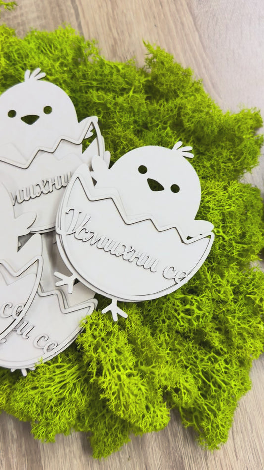 Пиленца от бирен картон с магнит, комплект 5 броя